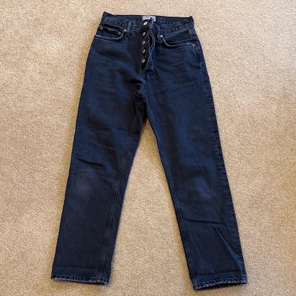 Agolde 90s Pinch Waist